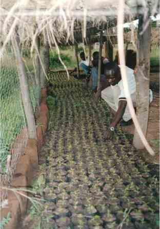 Nursery